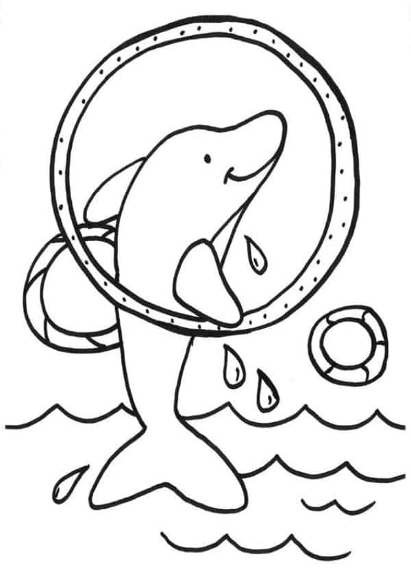 dibujo delfin para colorear jugando