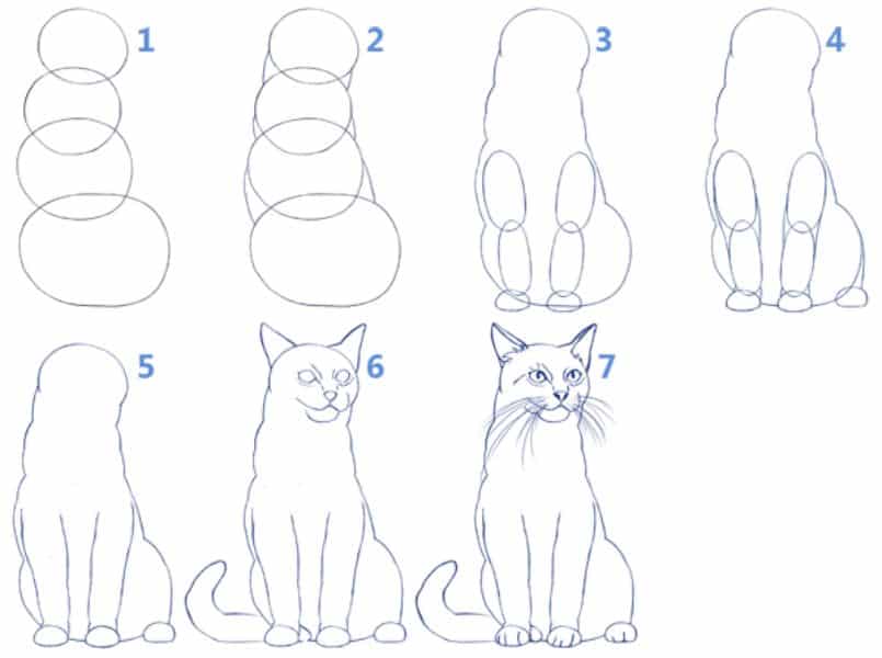 dibujos de gatos faciles con rasgos realistas