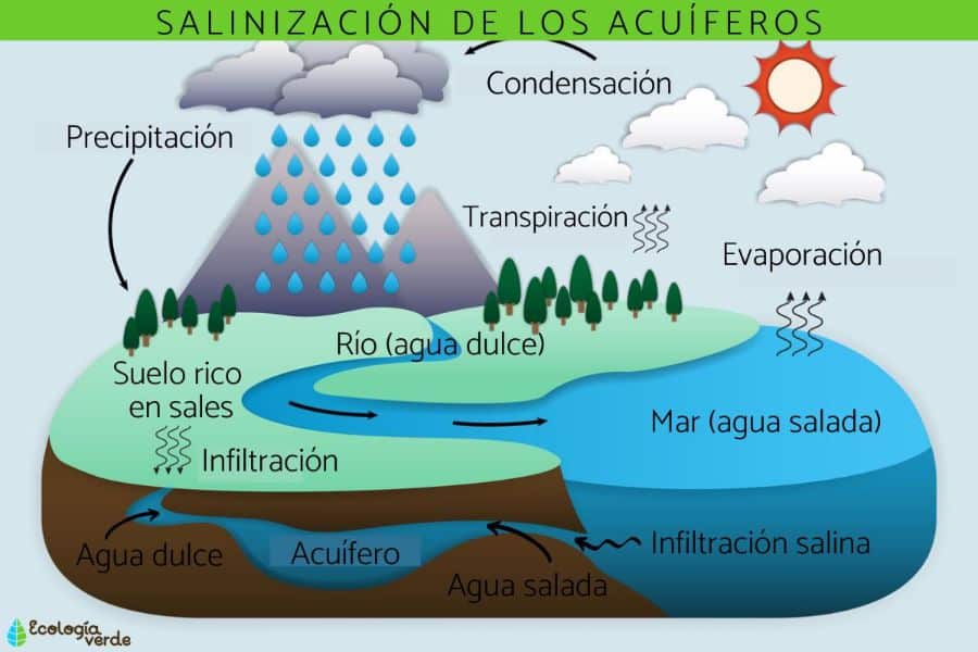 salinidad del agua del mar esquema del ciclo