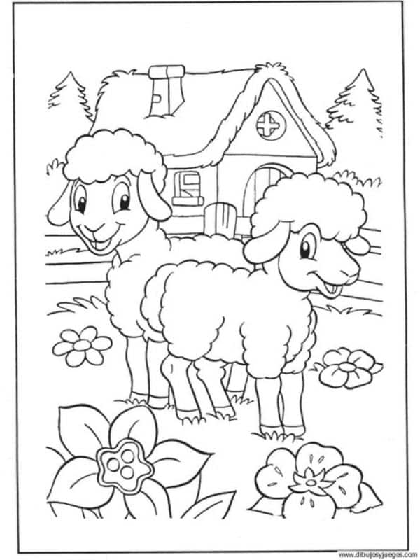 dibujo de oveja para colorear con escenario