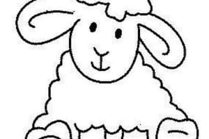 dibujo de oveja para colorear simple y tierna