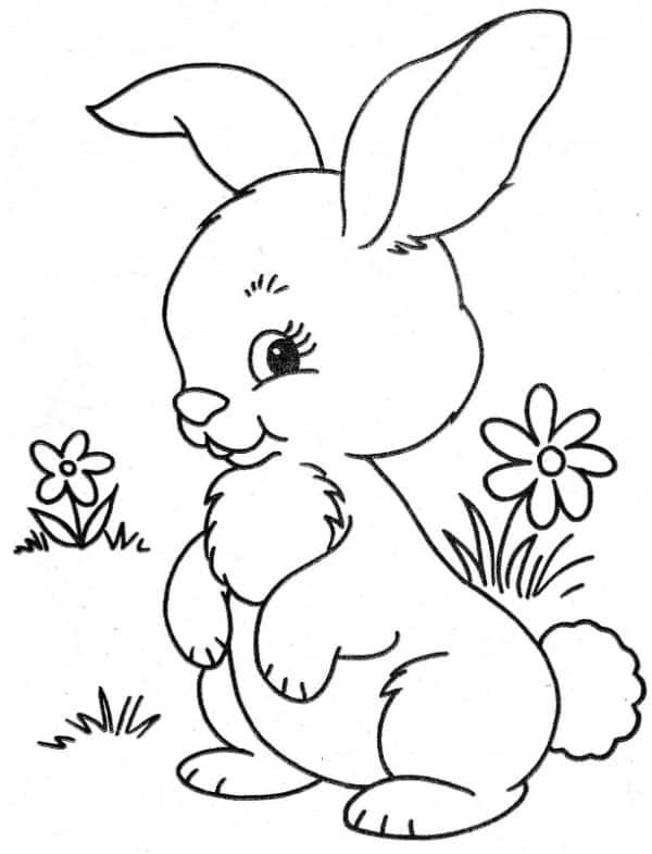 dibujos de animales lindos conejos