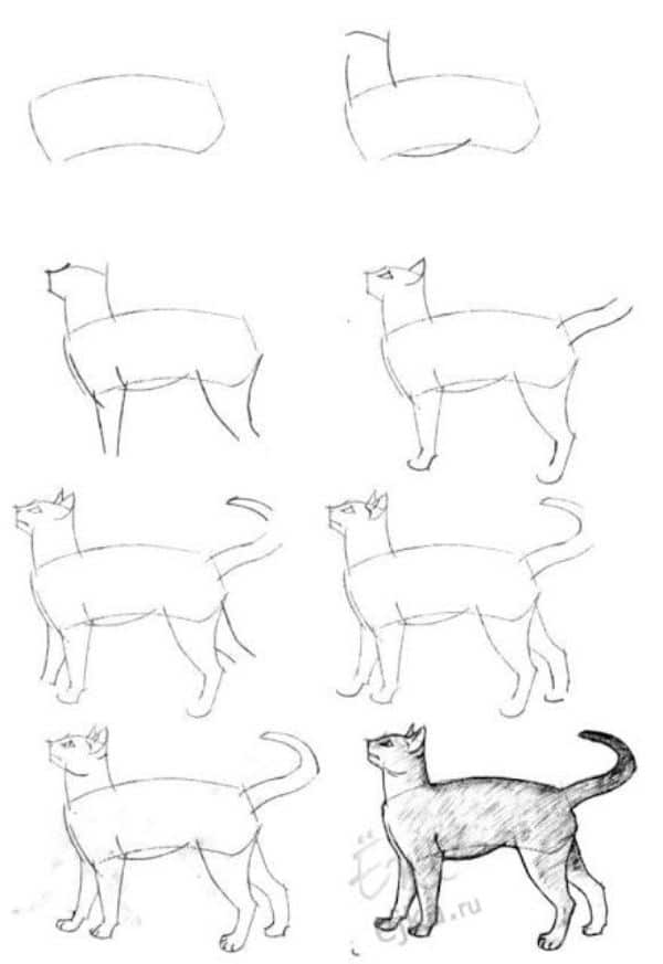 gatos para dibujar a lápiz en una posición