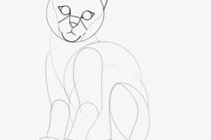 gatos para dibujar a lápiz patron