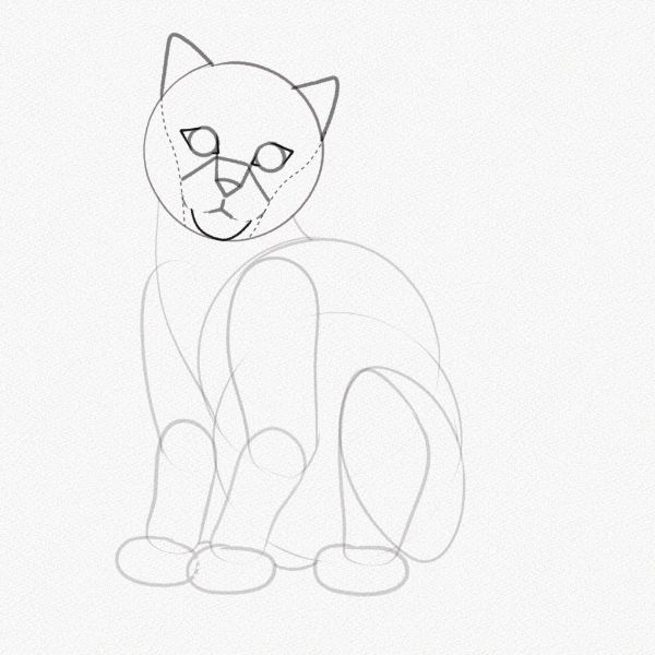 gatos para dibujar a lápiz patron