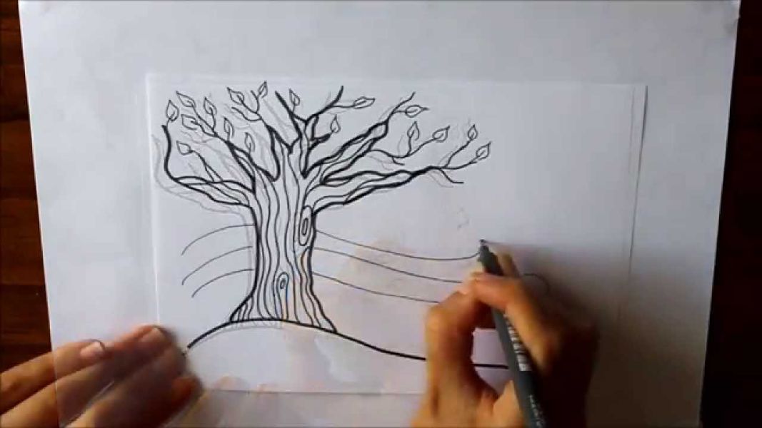árbol de otoño para colorear y dibujar