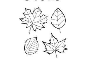 hojas de otoño dibujo con letras