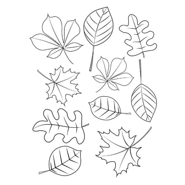 hojas de otoño dibujo estilos