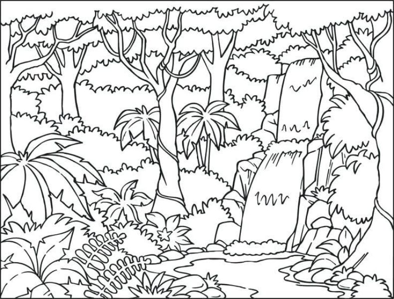 El dibujo paisaje de la selva y sus 3 características