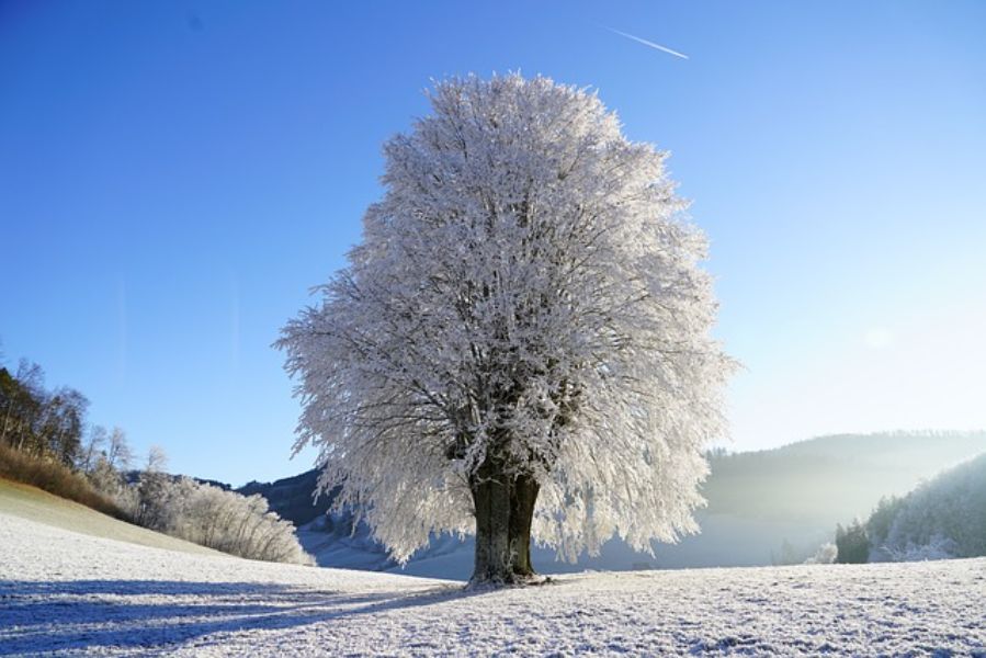 fotos de naturaleza para perfil invierno