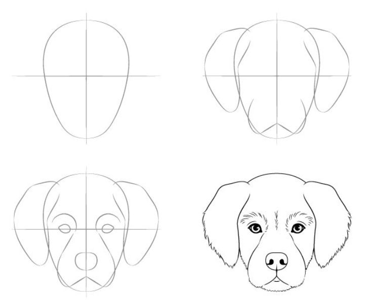 dibujar un perro paso a paso con toques realistas