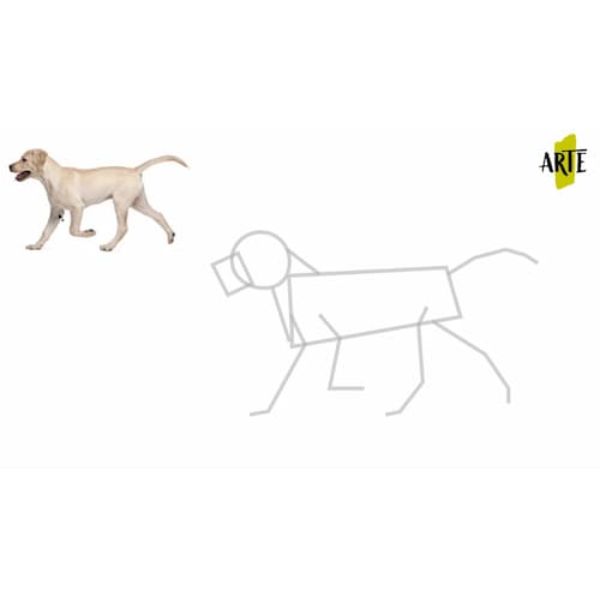 dibujar un perro paso a paso ideas prinicipales