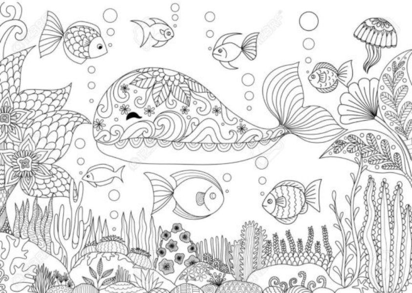 dibujos de animales acuáticos con alto detalle