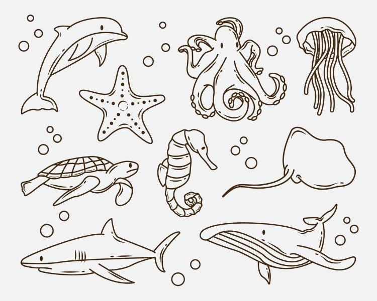 dibujos de animales acuáticos diferentes especies