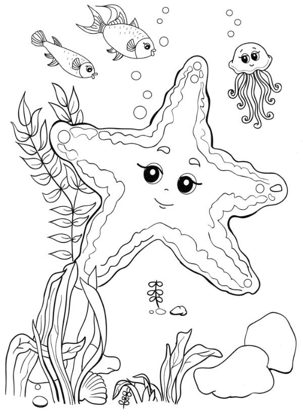 dibujo de animales marinos para colorear