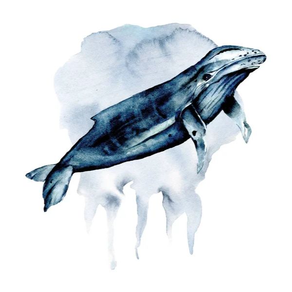dibujo de animales marinos para hacer carteles