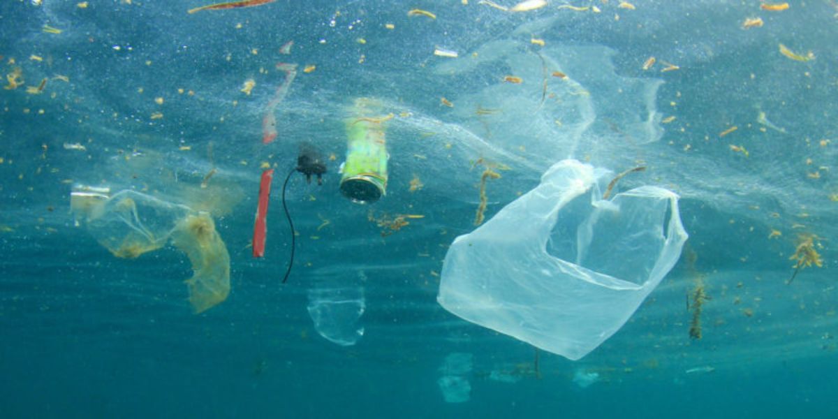 imagenes de ambientes contaminados el mar
