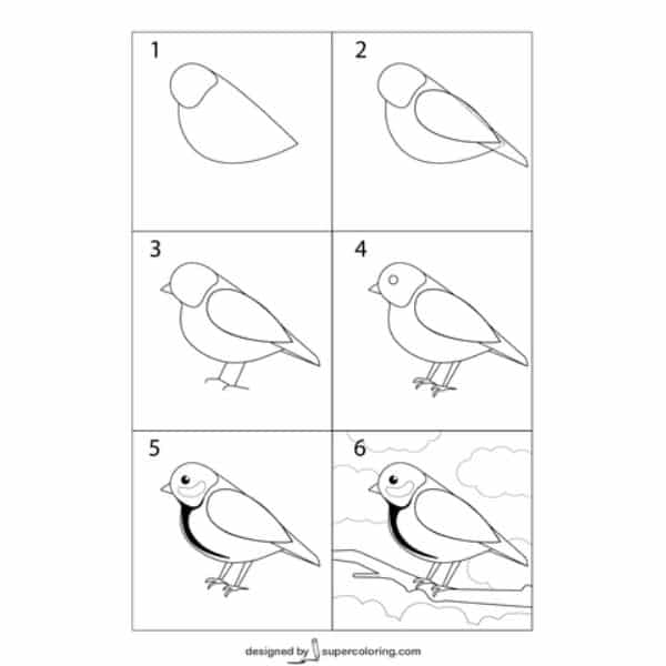 dibujos de pájaros fáciles con detalles
