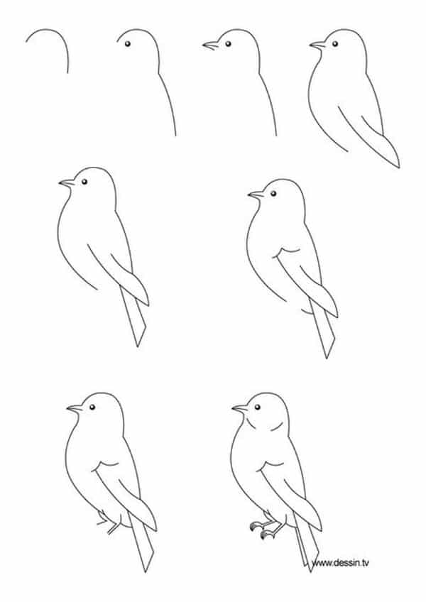 dibujos de pájaros fáciles paso a paso