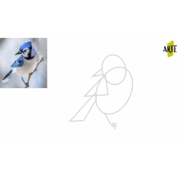 dibujos de pájaros fáciles utilizando geometria