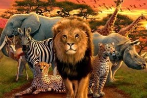 imagenes de animales de africa especies